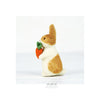 Rabbit Carrot Kit