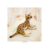 needle felting bengal cat DIY craft kit from Japan